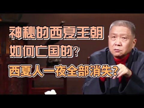 神秘的西夏王朝是怎麼亡國的?西夏人為何一夜就消失了? #圓桌派#窦文涛#观复嘟嘟#马未都