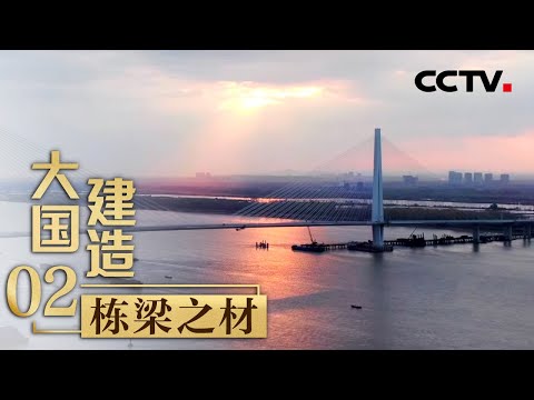 全亚洲最大高铁站、世界最大彩釉玻璃采光顶拼装……揭秘你熟知的地标背后的栋梁之材「大国建造」第二集 | CCTV财经