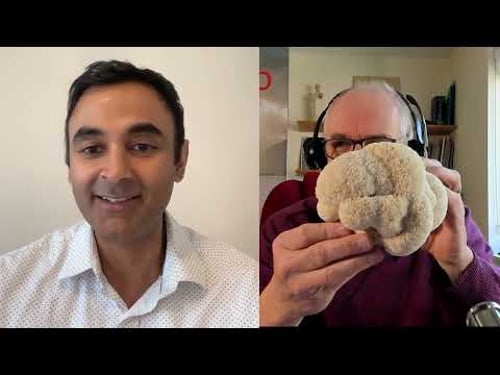 Natural medicine, Lions mane