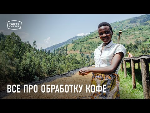 Как обрабатывают кофе в разных странах мира.