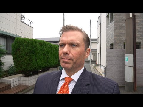 20 year educator's take on Japan's system.