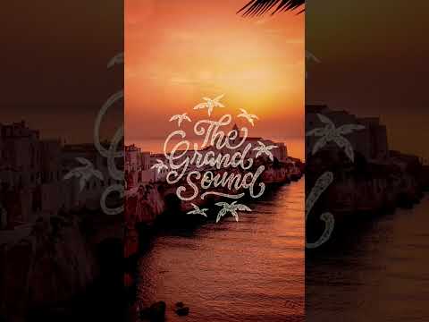 Nipika - Dance With Me (Pouls3n Remix) #shorts