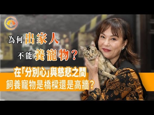 佛門警訊2.0|為何出家人不能養寵物?|在「分別心」與慈悲之間,飼養寵物是橋梁還是高牆?
