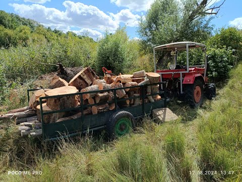 Шифенг 244! Отличный трактор для заготовки дров!
