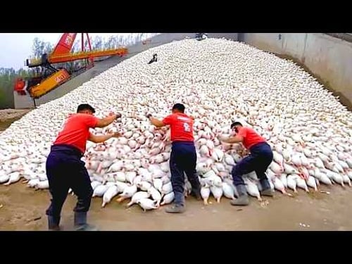 How is this even possible? Look what level 80 workers are doing!