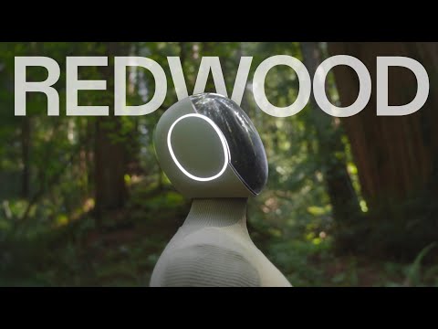Redwood AI