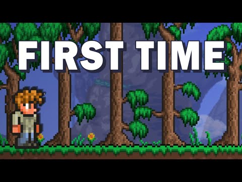 I finally tried Terraria