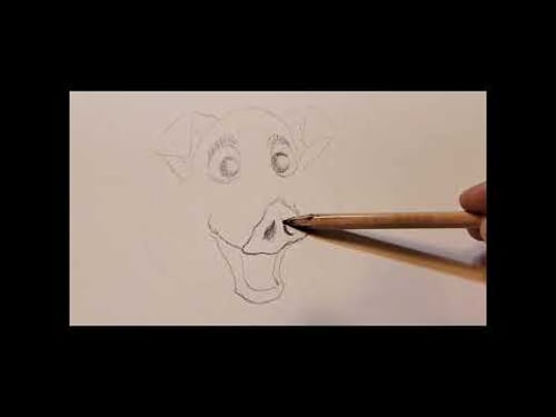 Sketch #3 - Happy Pig, Graphite - Drawing Timelapse