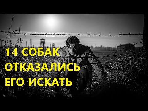 Заключённый, которого не брали даже собаки. Дело №4317 | СССР