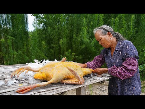 孫子準備去學校,阿婆給他做美味鴨飯,讓他去學校好好學習Guangxi grandma, uses duck meat to make various traditional food|玉林阿婆