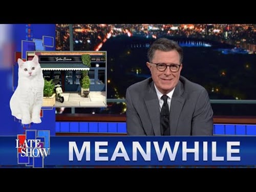 Meanwhile... An Italian Restaurant For Cat Owners | How The Japanese Cool Off Their Pets