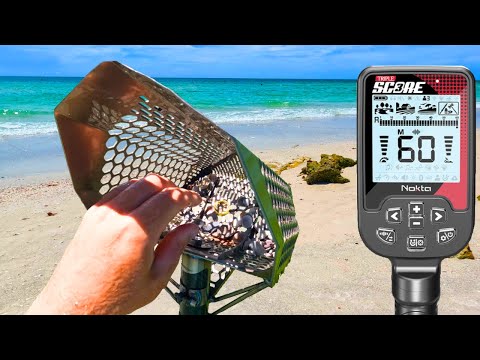 New Metal Detector PAYS For Itself in Minutes!!!