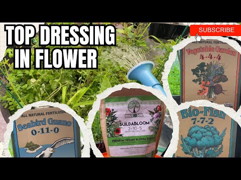Top Dressing | Flower Stage | Organic Amendments
