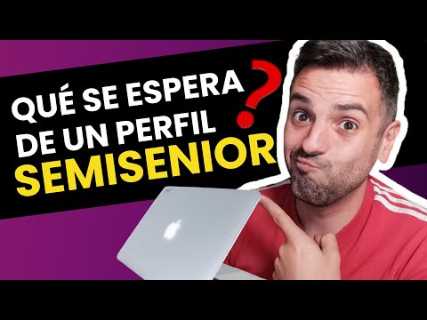 Que se espera de un PROGRAMADOR SEMI SENIOR (o MID, MIDDLE)