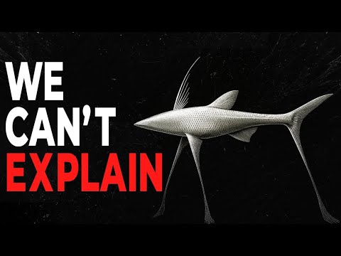 The Creepiest Fish Found at the Bottom of Our Oceans