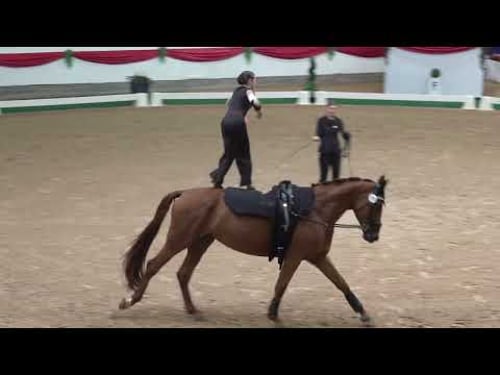 WM2025 Jun Valentina Kür2