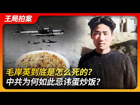 毛岸英到底是怎么去世的?中共为何如此忌讳蛋炒饭?|毛岸英|抗美援朝|彭德怀|蛋炒饭|烤苹果皮|咖啡|毛泽东|志愿军|杨迪|毛远新|江青|王局拍案20231127