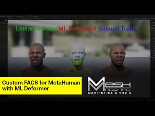 Custom FACS for MetaHuman with ML Deformer