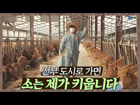 화려한 도시를 떠나 시골로 온 청년 🐮 소 키우기로 한 결정에 후횐 없다! | 병환 씨의 속 터지는 후계 수업 | KBS 인간극장 2022 방송