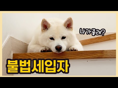 The Moment I Wanted to Move to an Apartment