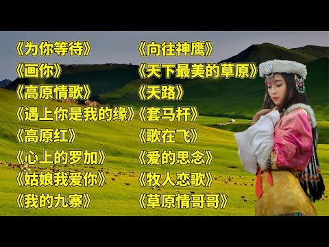 次仁央宗为你等待画你心上的罗加向往神鹰牧人恋歌