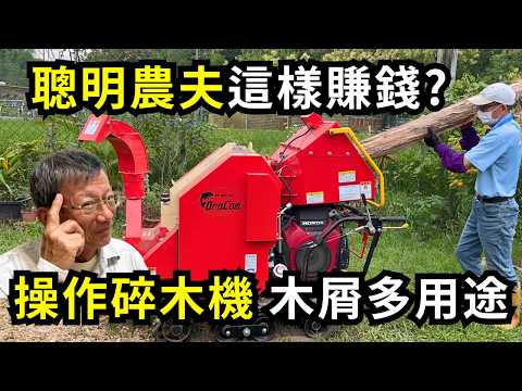 聰明農夫可以這樣賺錢?碎木機碎木屑多用途,當有機肥之外還可以賣錢,分享履帶自走式樹枝粉碎機魔力牌MORI使用過程| 阿星種植