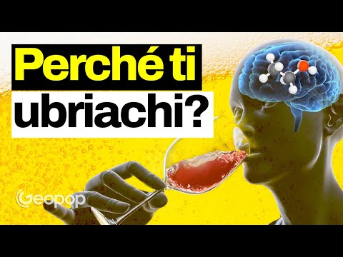 Cosa succede al nostro corpo quando ci ubriachiamo? Gli effetti dell'alcol sul nostro cervello