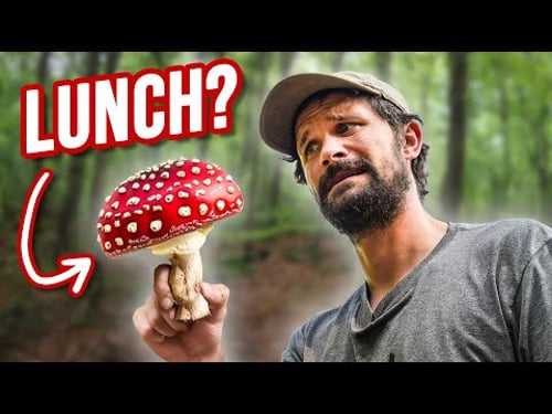 We Went Foraging For Our Food