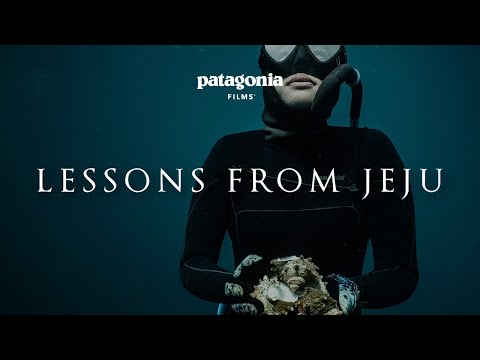Lessons from Jeju | Freediving and Motherhood with Kimi Werner | Patagonia