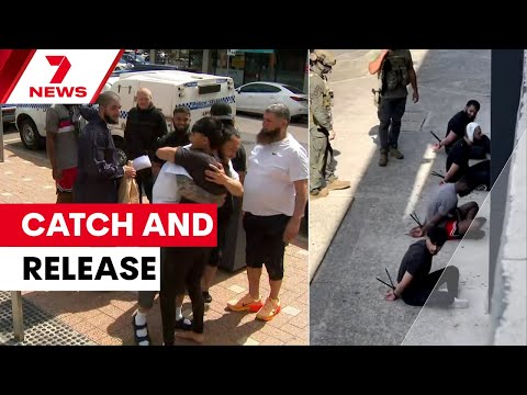Melbourne men detained by counter-terror police let go | 7NEWS