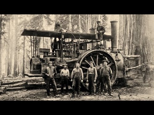 The 40-Ton Beast of Pure Destruction: The Deadliest Machine in the Forest