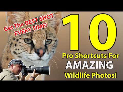 TOP 10 Wildlife Photography Shortcuts Used By PROS!