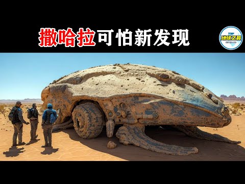 撒哈拉沙漠并不是你想的那样!这里的一些新发现令科学家感到害怕!丨地球之最#冷知识 #排名 #世界之最#难以置信 #世界之最top #出类拔萃 #top10facts