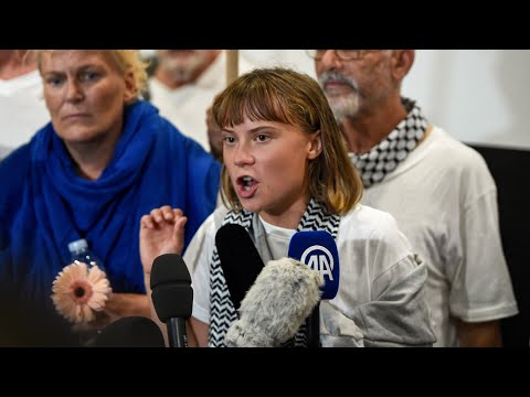 Thunberg's ‘clown crew’ a laughingstock for complaining about time in jail