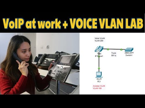 VoIP Basics | Real world implementation | Voice VLAN configuration(Packet Tracer)