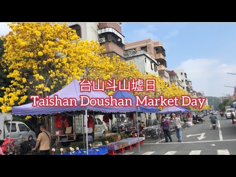 台山斗山墟日Taishan Doushan Market Day探索台山474