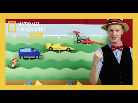 Race Cars | Weird But True Full Episode | @natgeokids