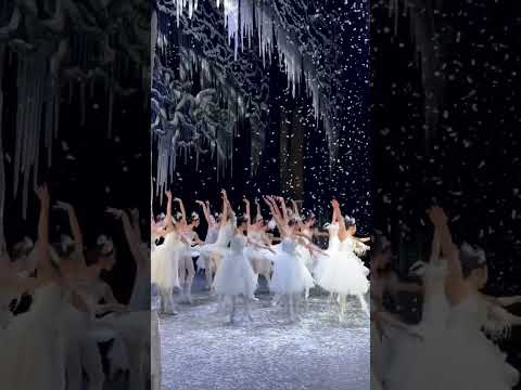Welcome to the Ice Realm ❄️🩰 #ballet #nutcracker