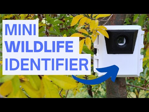 Raspberry Pi Zero AI Wildlife Detector!