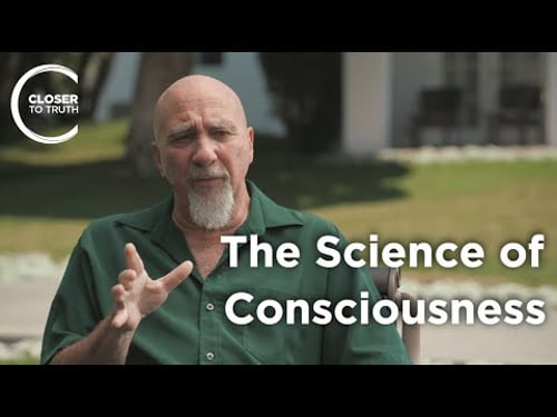 Stuart Hameroff - The Science of Consciousness: Quantum Mechanics and Spirituality