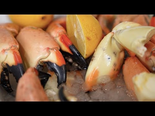 Stone Crab Catch and Cook! (BIG CLAWS)