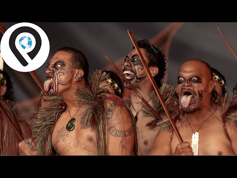 解析热血的毛利哈卡舞