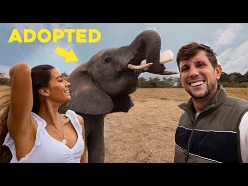 WE ADOPTED THIS ELEPHANT (Kenya Africa)