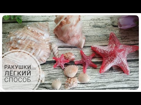 Мыловарение • Ракушки