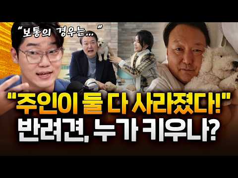 푹푹 찌는 폭염, 강아지 산책해도 괜찮을까요? ㅣ#설채현