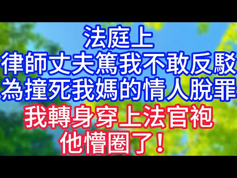 【爽文】法庭上,律師丈夫篤我不敢反駁,為撞死我媽的情人脫罪,我轉身穿上法官袍,他懵圈了!#情感故事 #生活經驗 #老年生活 #為人處世