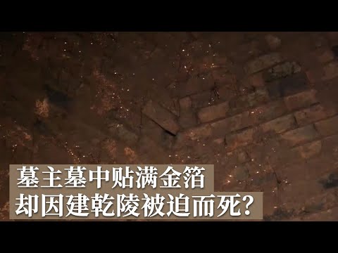墓中器物似乾陵器物 墓室贴满金灿灿的金箔 墓主人竟是因建造乾陵而被迫死亡?《探索·发现》贾里村唐墓发掘记丨中华国宝