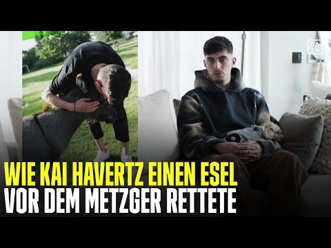 "Geil, mit 18 kann ich meinen ersten Esel retten!" Kai Havertz Unfiltered | DAZN