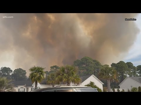 South Carolina issues burn ban as over 4,000 acres go up in flames