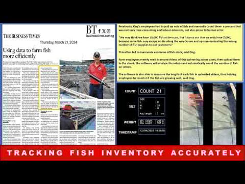 Using Data To Farm Fish More Efficiently in The Business Times